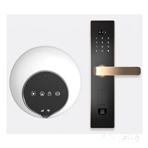 萨菲尔智能锁家用电子智能锁S1 大门指纹密码锁