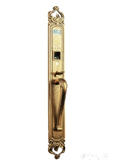 金指码别墅智能锁T08 防水全铜电子密码锁