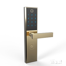 传通智能金色304不锈钢系列锁 四种开门方式密码锁