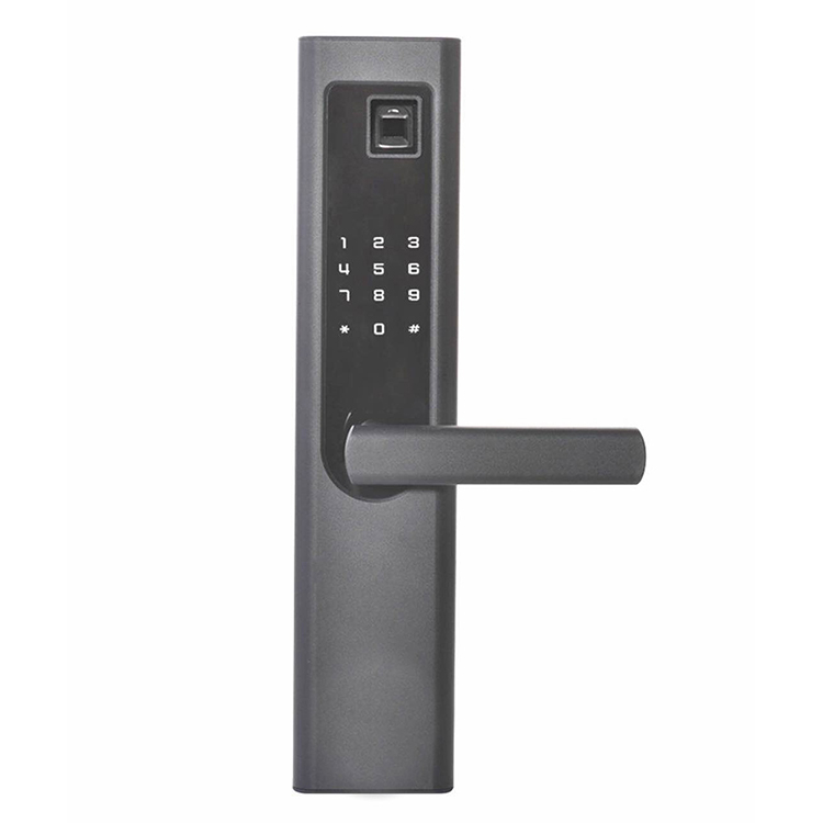 零钥指纹锁ZLS-109 公寓防盗门智能锁