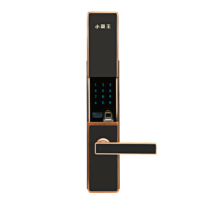 小霸王智能锁 滑盖指纹锁E4/E4S C级双模锁芯智能锁