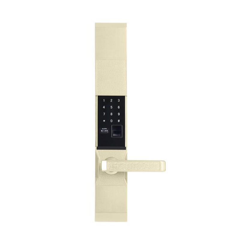 赛福洛克指纹锁 土豪金滑盖指纹锁 家用智能密码锁G19