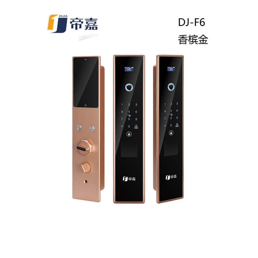 帝嘉智能锁 全自动系列DJ-F6香槟金指纹密码锁