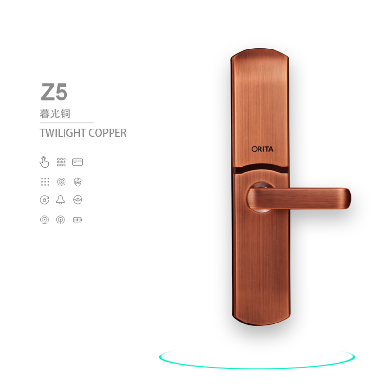 欧路达智能锁 Z5家用智能锁C级锁芯密码锁