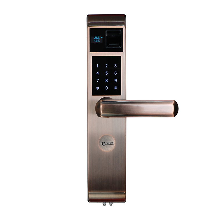 钟铧智能锁 ZW1001系列家用防盗门智能锁