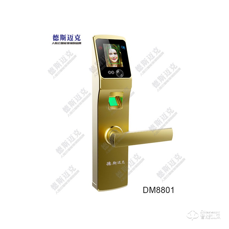 德斯迈克智能锁 DM8801全自动人脸识别智能锁密码锁.jpg