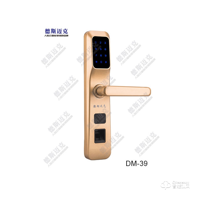 德斯迈克智能锁 DM39全自动密码锁磁卡锁.jpg