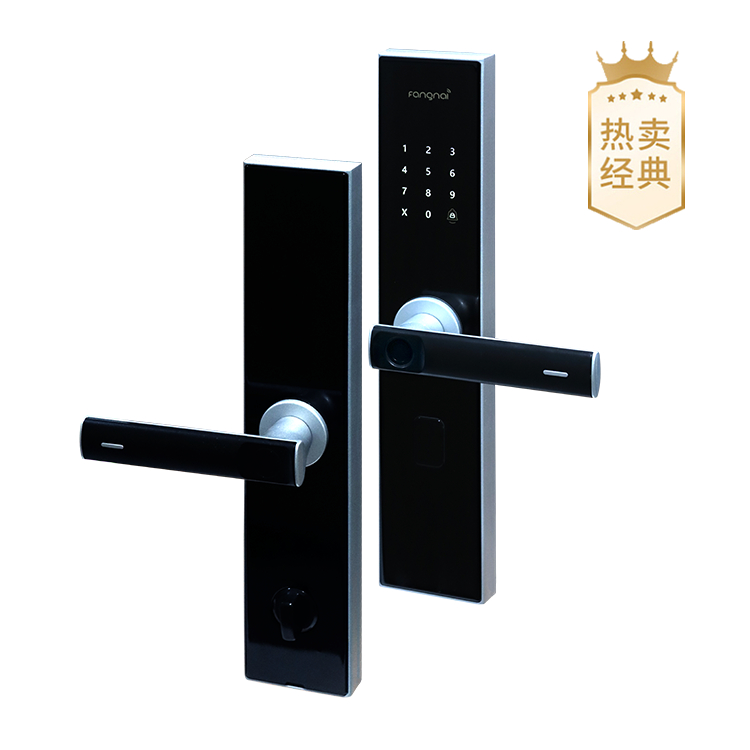 方耐（fangnai）B2智能锁黑色银边半自动标准款家用防盗门锁智能指纹锁