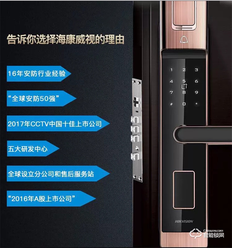 海康威视L5TW智能指纹锁 密码保险家用防盗电子门锁