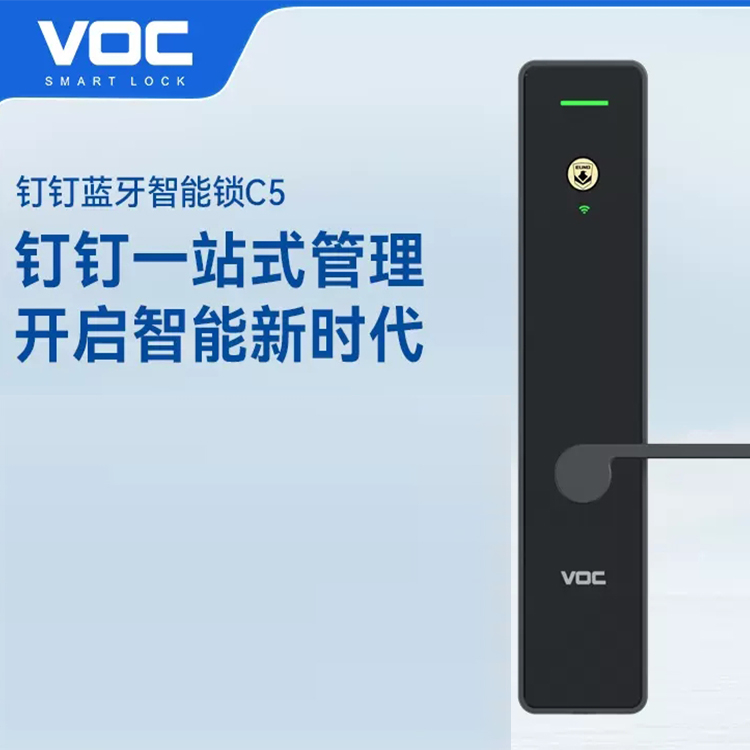 VOC全自动智能锁C5 家用防盗门智能锁